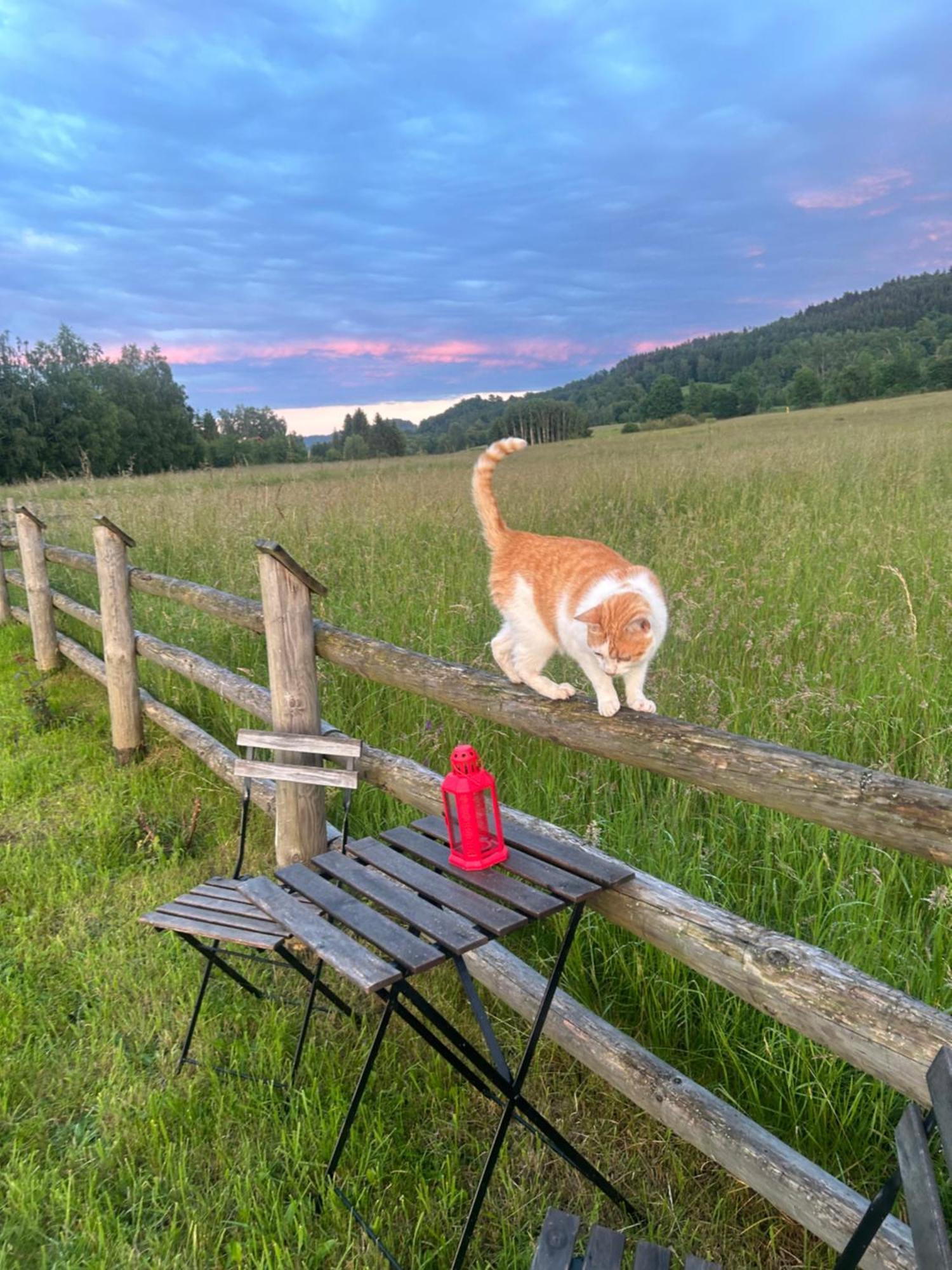Sloneczna Chata Z Bali Ladek-Zdroj Bagian luar foto